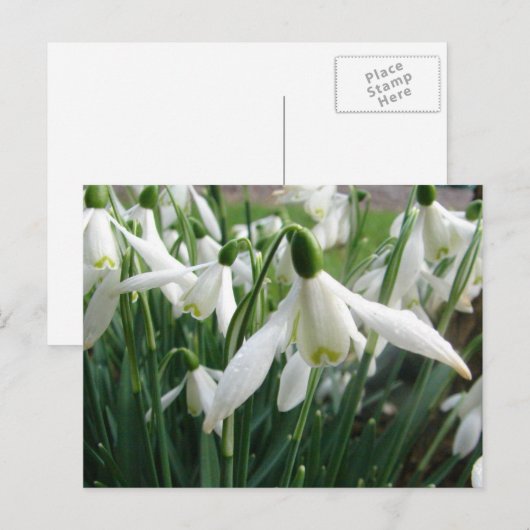 Schneeverfahren Postkarte (Vorne/Hinten)