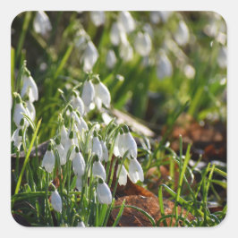 Schneeverfahren Quadratischer Aufkleber