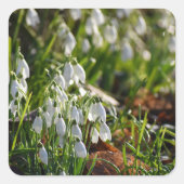 Schneeverfahren Quadratischer Aufkleber (Vorderseite)