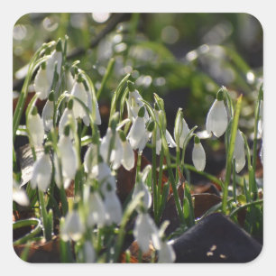 Schneeverfahren Quadratischer Aufkleber