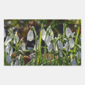 Schneeverfahren Rechteckiger Aufkleber (Vorderseite)