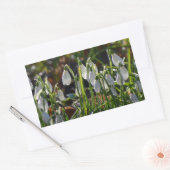 Schneeverfahren Rechteckiger Aufkleber (Umschlag)