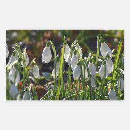 Schneeverfahren Rechteckiger Aufkleber