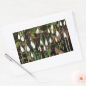 Schneeverfahren Rechteckiger Aufkleber (Umschlag)