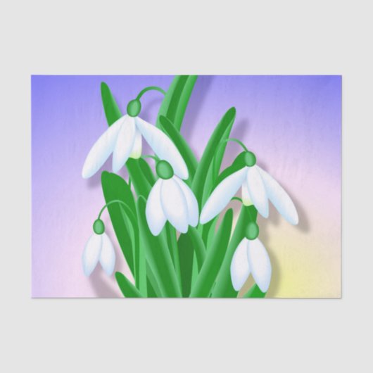 Schneeverfahren Seidenpapier (Vorderseite)