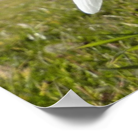 Schneeverfahren unter dem Apfelbaum Poster (Ecke)