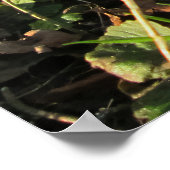 Schneeverfahren unter einem englischen Baum - Pers Poster (Ecke)