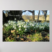 Schneeverfahren unter einem englischen Baum - Pers Poster