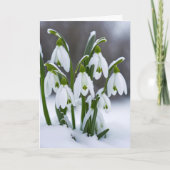 Schneeverfahren zum Geburtstag im Schnee Karte (Vorderseite)