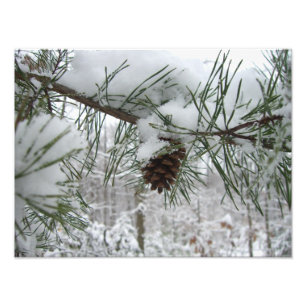 Schneeverzweig Winter Naturfotografie Fotodruck