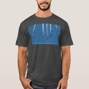 Schneevögel 7Schiffspause T-Shirt