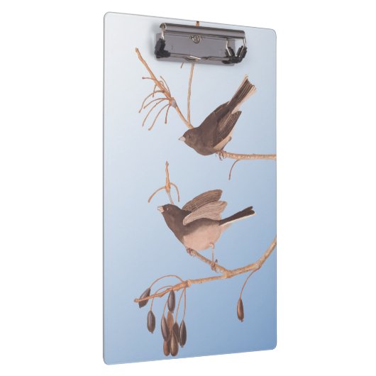 Schneevögel auf einem Bare Winter Branch Klemmbrett (Rechts)