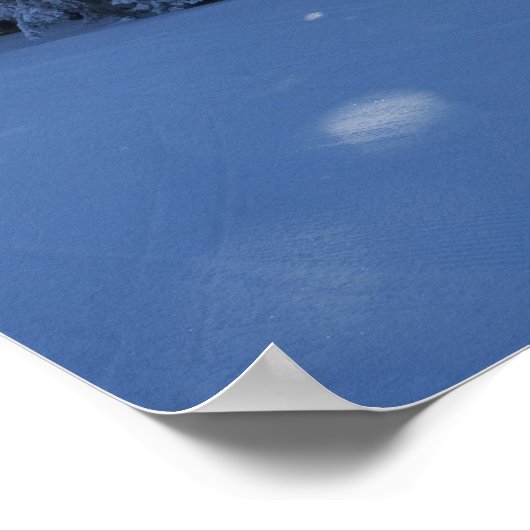 Schneewald im Berg Poster (Ecke)