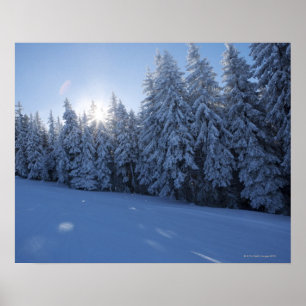 Schneewald im Berg Poster
