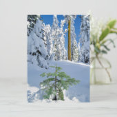 Schneewald in Oregon Dankeskarte (Stehend Vorderseite)