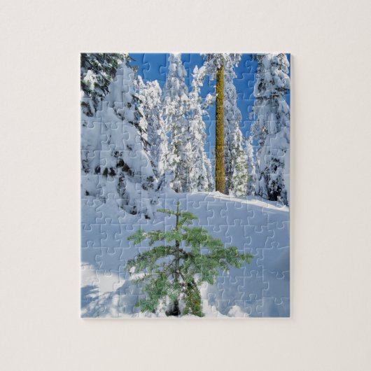 Schneewald in Oregon Puzzle (Vertikal)