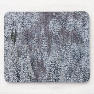 Schneewald, Mt. Rainier Nationalpark Mousepad