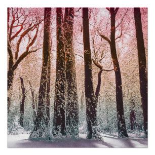 SCHNEEWALD NATUR POSTER