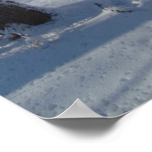 Schneewald Poster (Ecke)