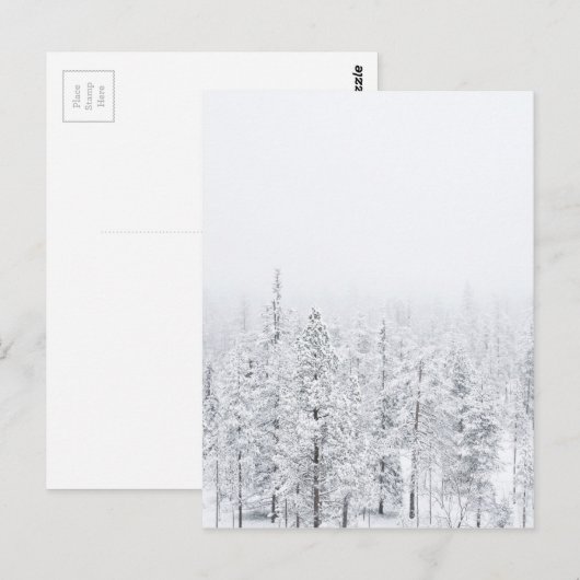 Schneewald Postkarte (Vorne/Hinten)