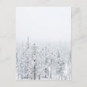 Schneewald Postkarte (Vorderseite)