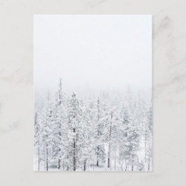 Schneewald Postkarte
