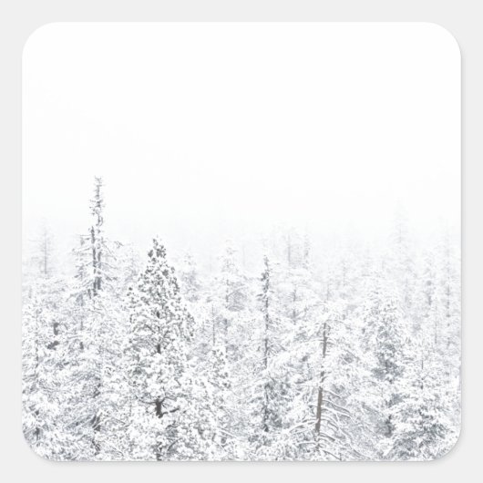 Schneewald Quadratischer Aufkleber (Vorderseite)