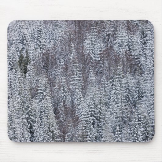 Schneewald, Rainier-Nationalpark Mousepad (Vorne)