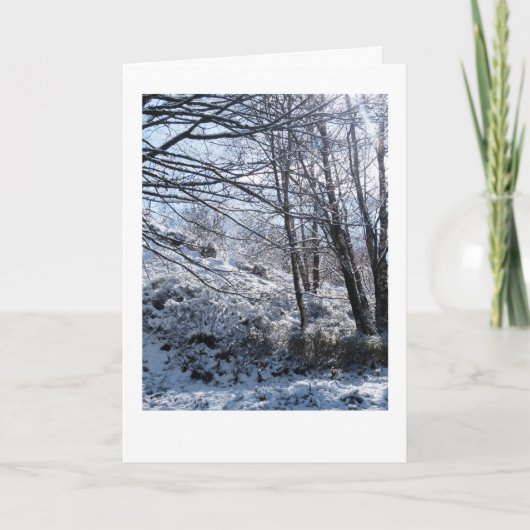 Schneewald Weihnachten Karte (Vorderseite)