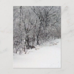 Schneewaldeinladung Einladung