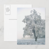 Schneewaldlandschaft Postkarte (Vorne/Hinten)
