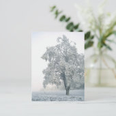 Schneewaldlandschaft Postkarte (Stehend Vorderseite)