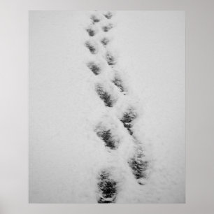 Schneewanderungen Poster