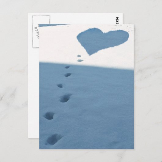 Schneewanderungen Postkarte (Vorne/Hinten)