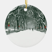 Schneeweg des Zentralparks