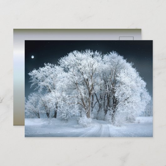 Schneeweg durch Mattierte Bäume Postkarte (Vorne/Hinten)