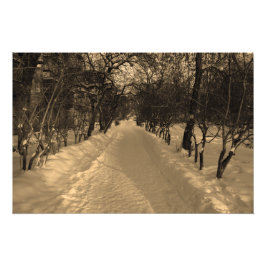 Schneeweg mit Bäumen in Sepia Fotodruck