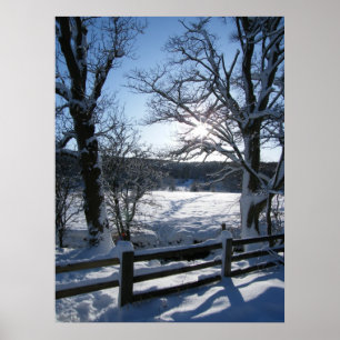 Schneeweg Poster