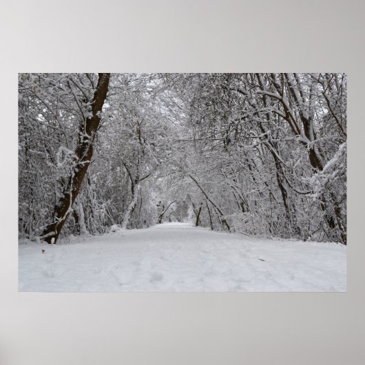 Schneeweg Poster (Vorne)
