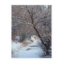 Schneeweg Winter Foto Postkarte