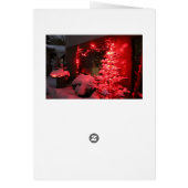 Schneeweihnachtsleuchten (Hinten)