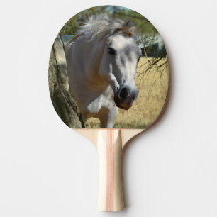 "Schneeweiß: Das majestätische Steed" Tischtennis Schläger