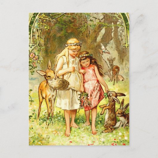 Schneeweiß und Rose rot Postkarte (Vorderseite)