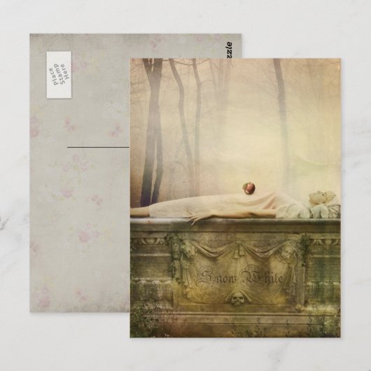 Schneeweiße Postkarte (Vorne/Hinten)