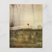 Schneeweiße Postkarte (Vorderseite)