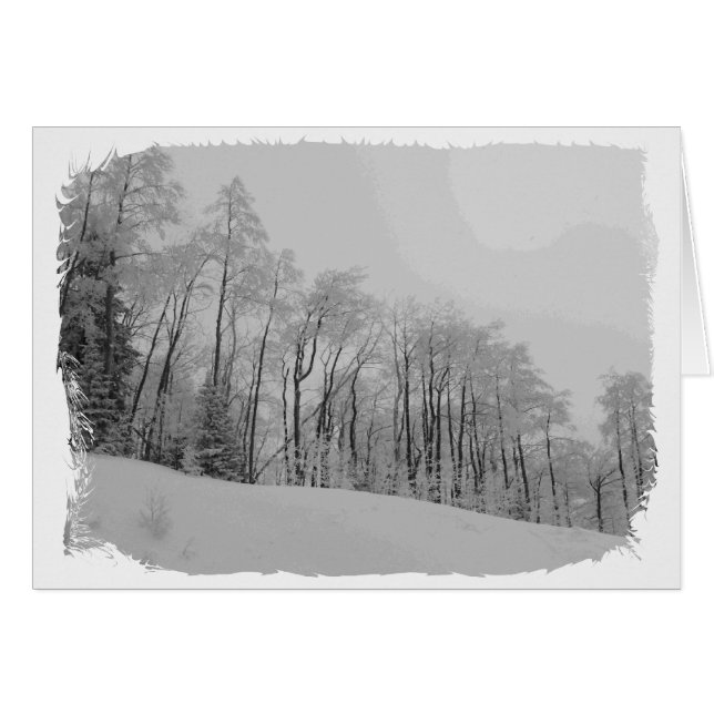 Schneeweiße Tipps (Vorderseite (Horizontal))