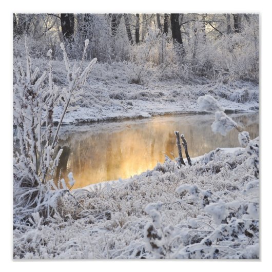 Schneeweiße Winterlandschaft mit Licht reflektiert Fotodruck (Vorne)