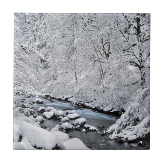 Schneeweißer Bach landschaftlich, Oregon Fliese (Vorderseite)
