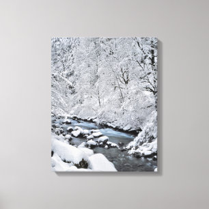 Schneeweißer Bach landschaftlich, Oregon Leinwanddruck