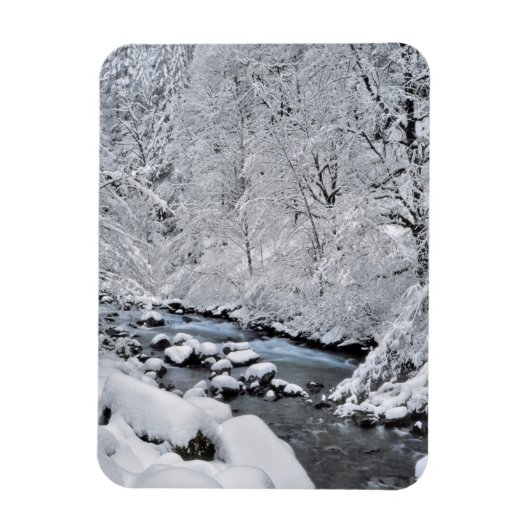 Schneeweißer Bach landschaftlich, Oregon Magnet (Vertikal)